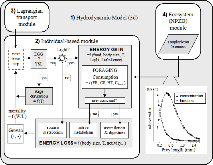 ecosmo_ibm_graphic_Daewel_Hereon