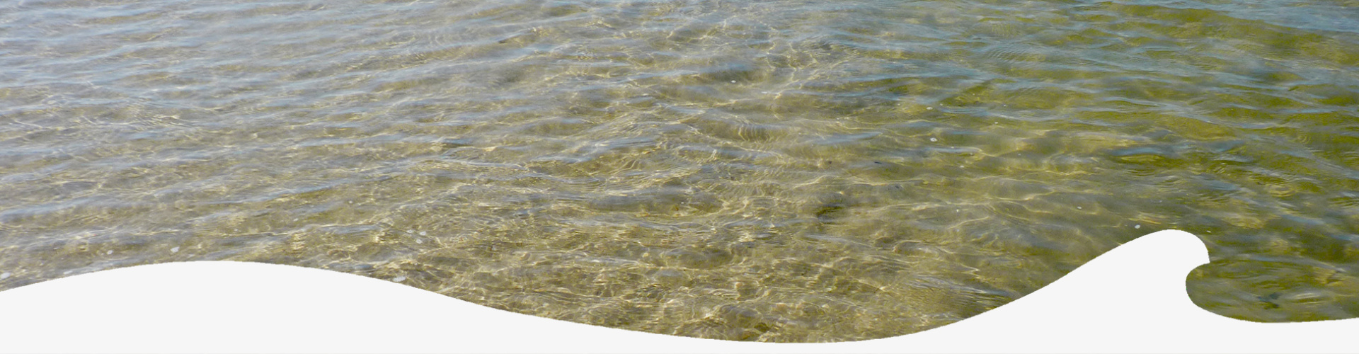 Header_Wasserspiegelung_mit_Welle_grau