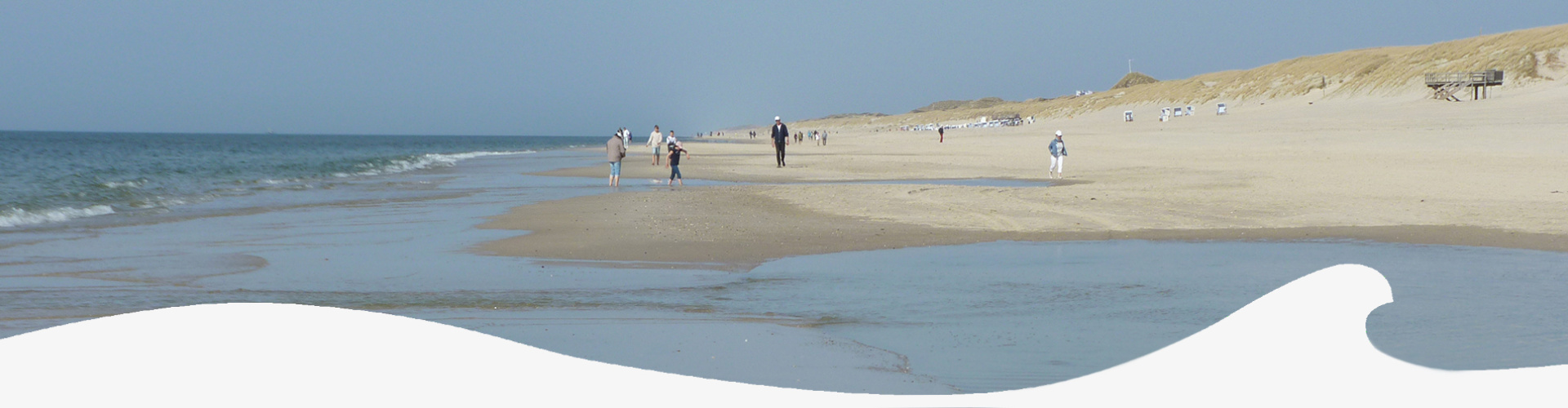 Header_Strand_Meer_Duene_2_mit_Welle_grau